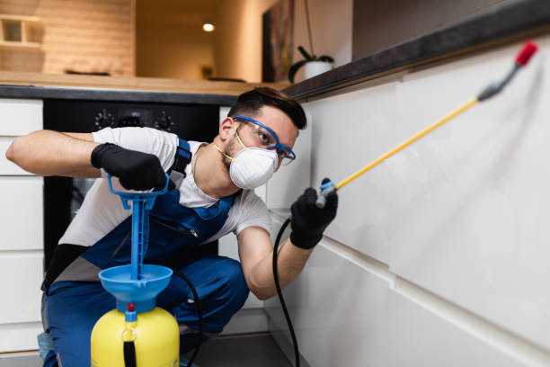 Best Best Pest Control Companies  in Baxter Village, SC