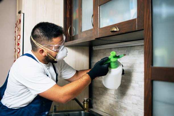 Trusted Baxter Village, SC Pest Control Experts