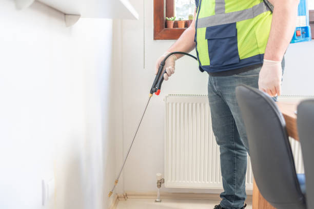 Best Wasp Removal Services  in Baxter Village, SC