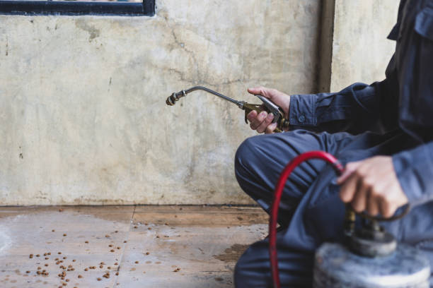 Best Emergency Pest Control  in Baxter Village, SC